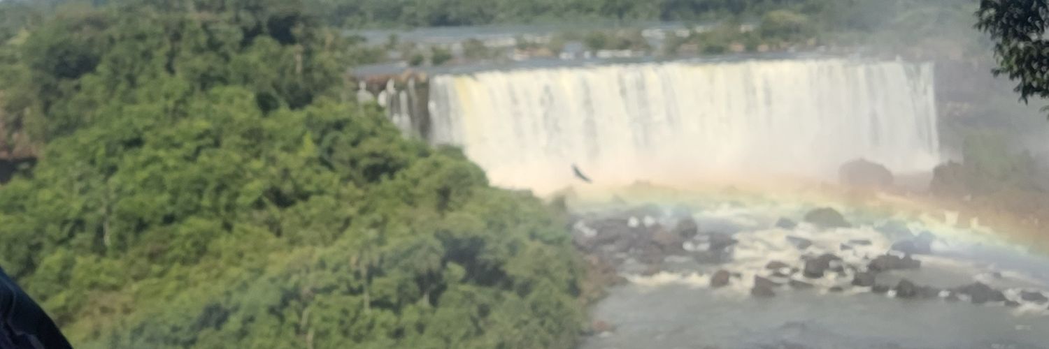 Leoborgesgyn1's profile banner image