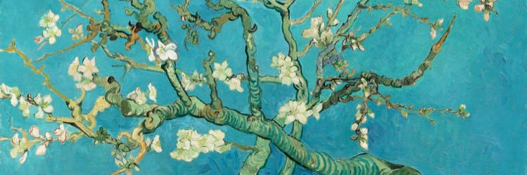 Eva Montes banner