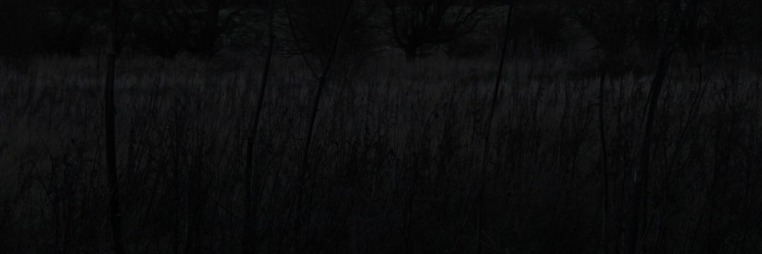 littlebuntalks's profile banner image