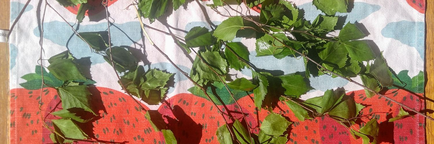 filifala banner