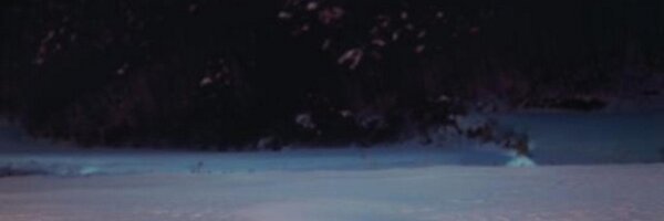 chia_cr Profile Banner