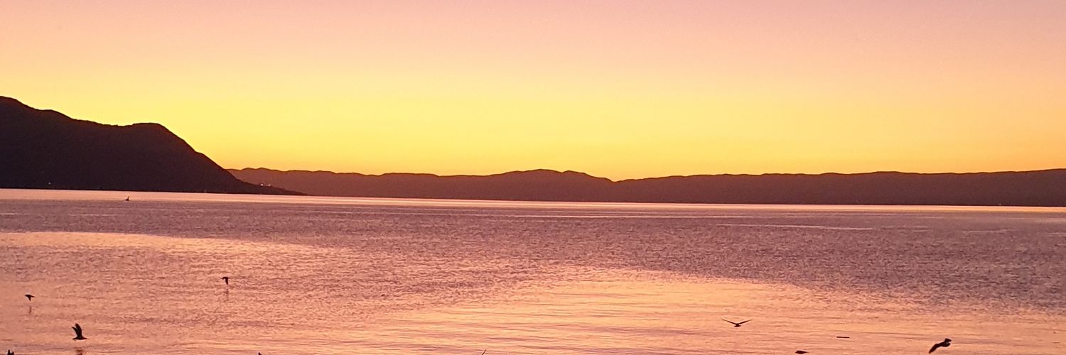213Wilson's profile banner image