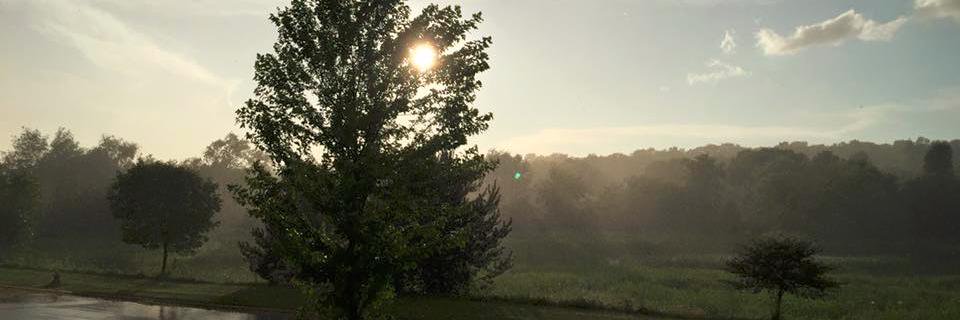 MrsTwiet's profile banner image