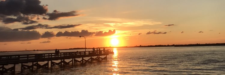 Fitzin_Around's profile banner image