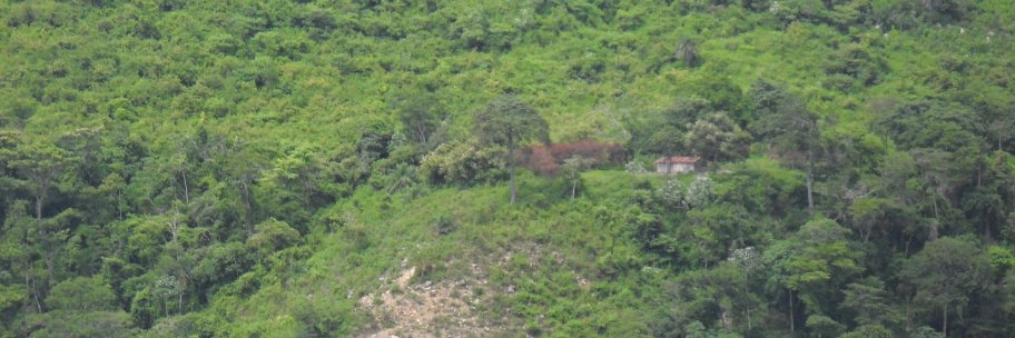 Sant_Aleja's profile banner image