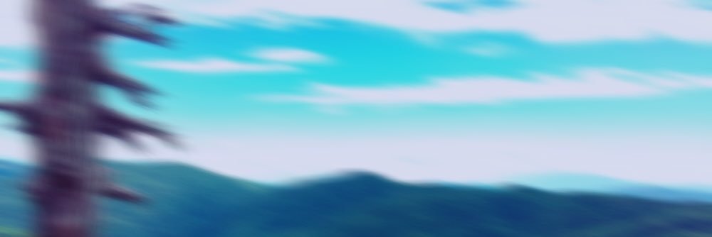 __t_t__c's profile banner image
