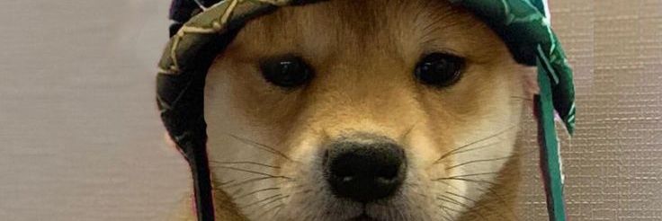 BLZ⚡️🪂 banner