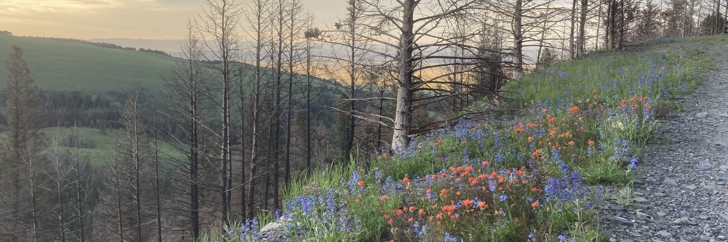 RHenry 🇺🇸 banner