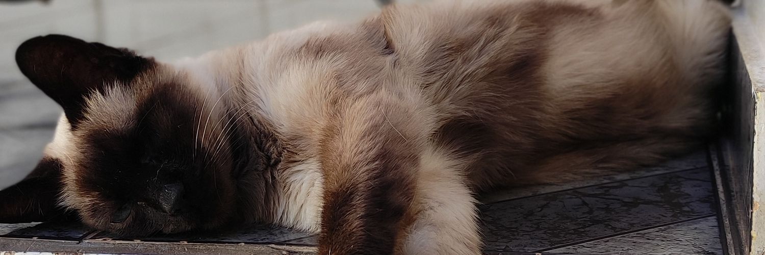baianetinho's profile banner image