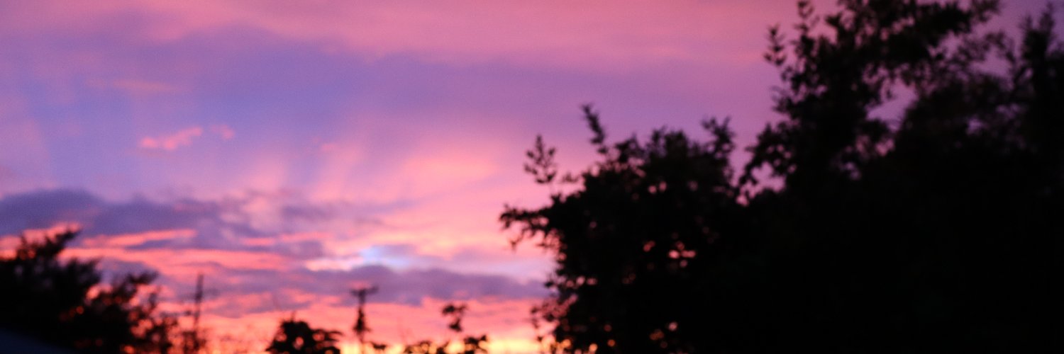 westcrash's profile banner image