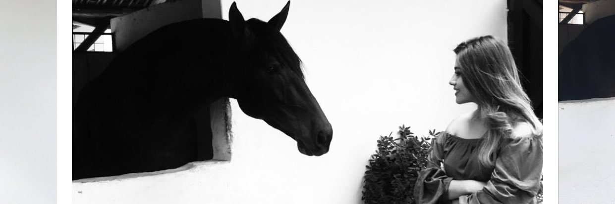 Ma_JoRodriguez's profile banner image