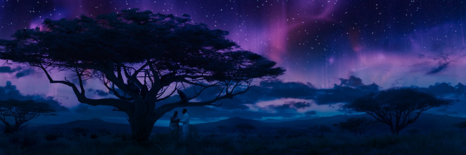 BoyarBucketz's profile banner image