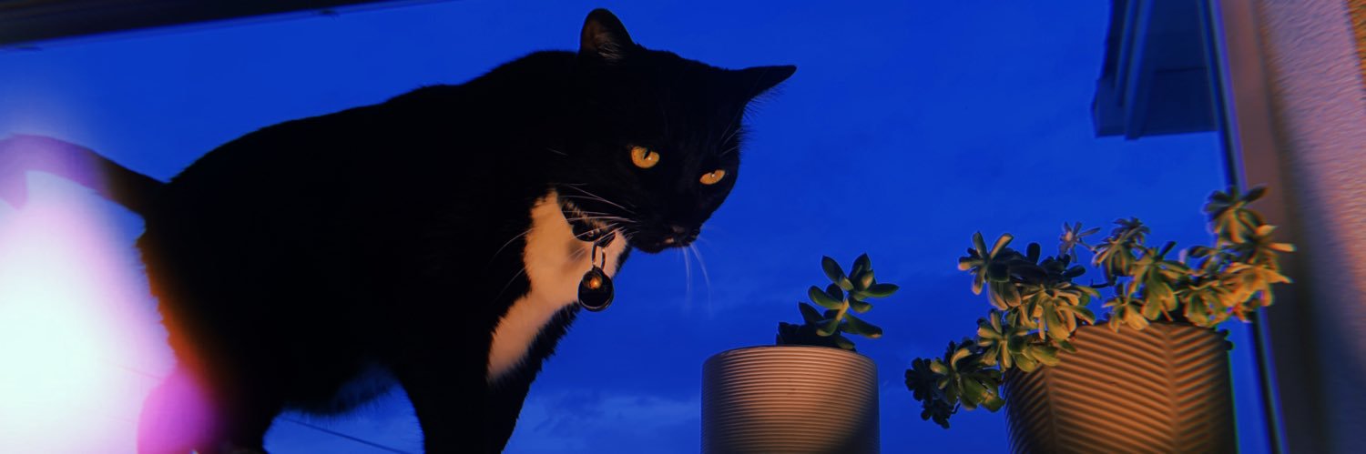 SkyriR's profile banner image