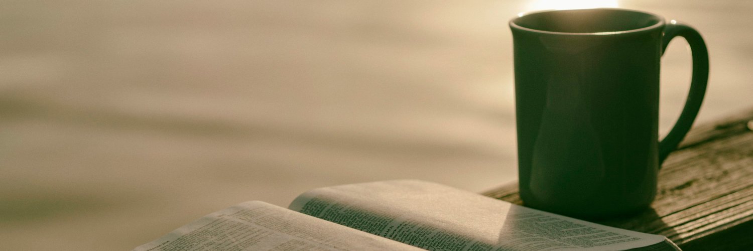 Dr Bryony Armstrong (she/her) banner