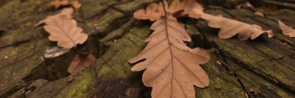 bexleywellbeing Profile Banner