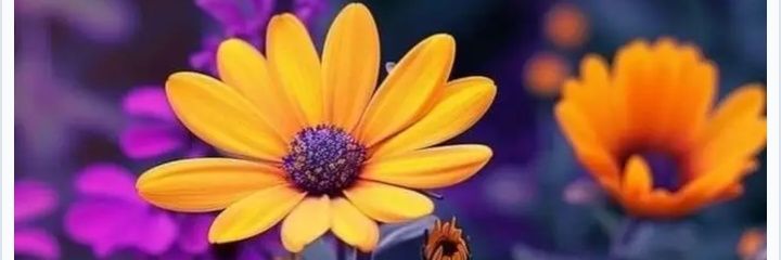 CrisalbyMaria's profile banner image