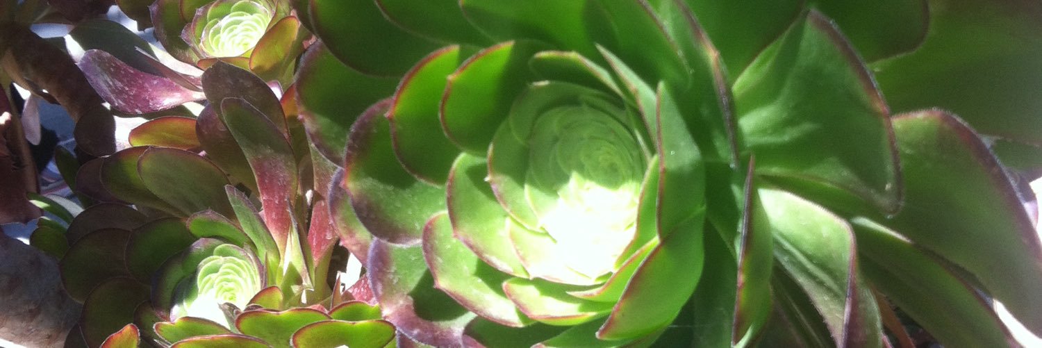 Lv_Deb's profile banner image