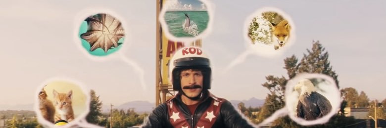 BKleiman8's profile banner image