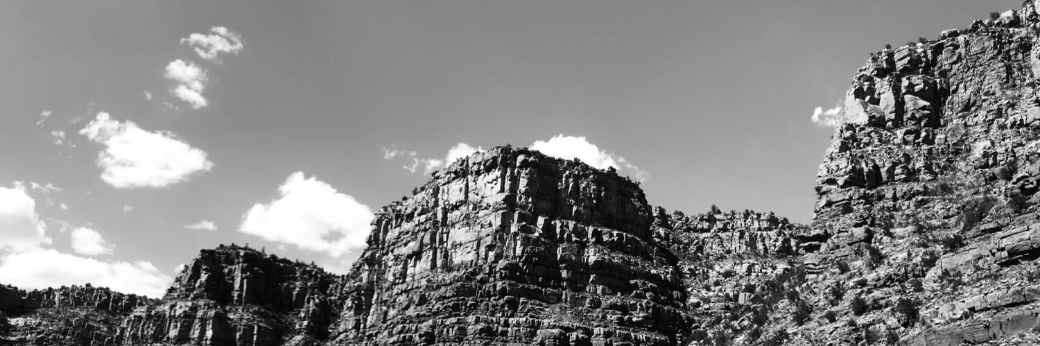 Miranda Rogers banner