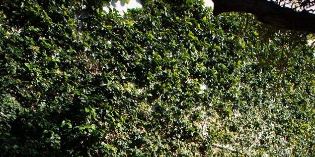 lanilei07's profile banner image