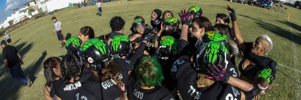 Mambas_Negras's profile banner image