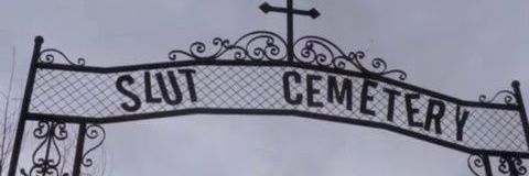 nightcat217's profile banner image