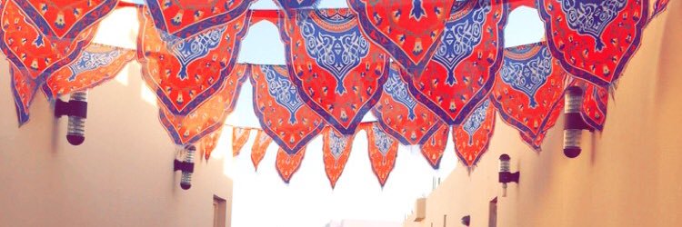 alkseperi's profile banner image