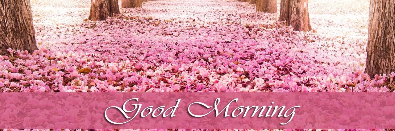 🎋 اٮو اٮس 🌾 banner