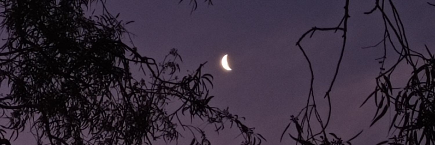 gnarodeleon's profile banner image