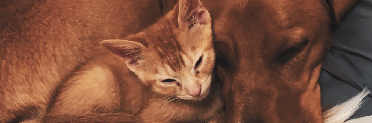 AbbieM_20's profile banner image