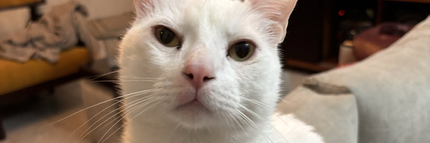 🗝️la banner
