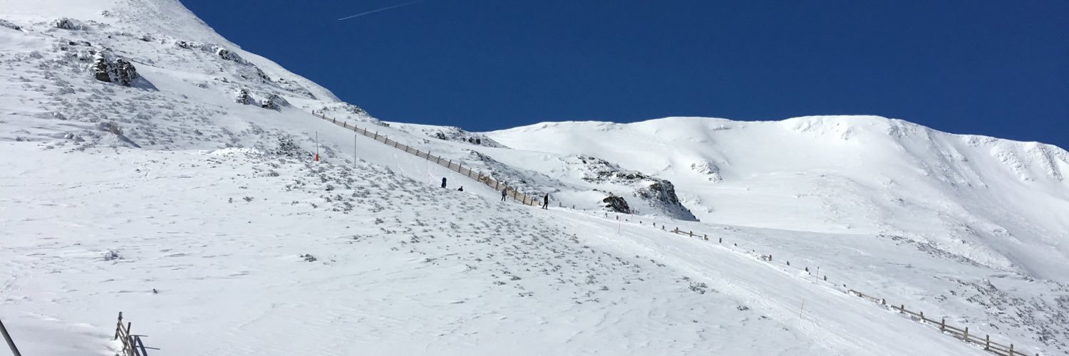 montedamina's profile banner image