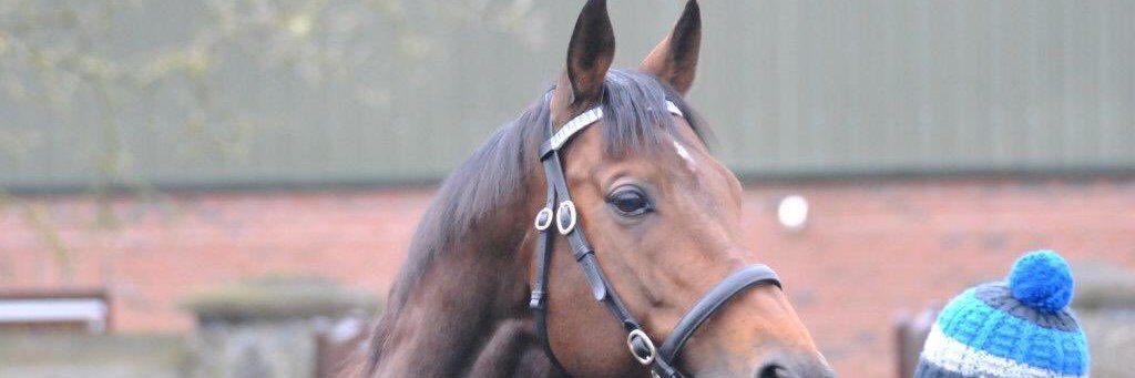 Caoimhe Doherty banner