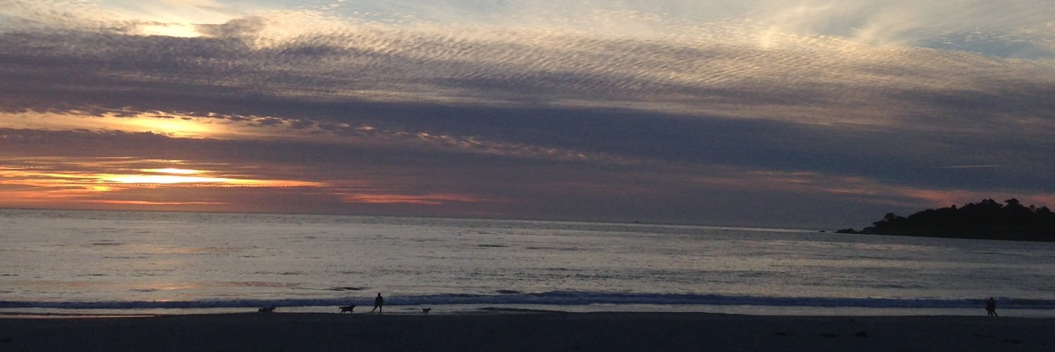 foolery416's profile banner image