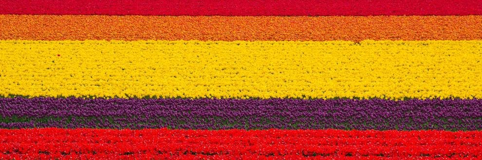 Juan Madera Mora banner