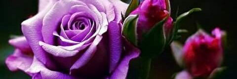 evalita26's profile banner image