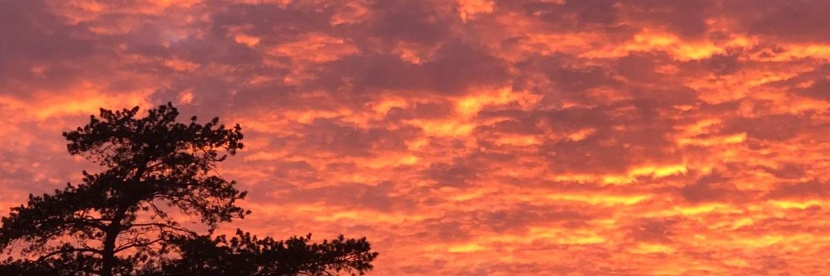 VictoriaMack823's profile banner image