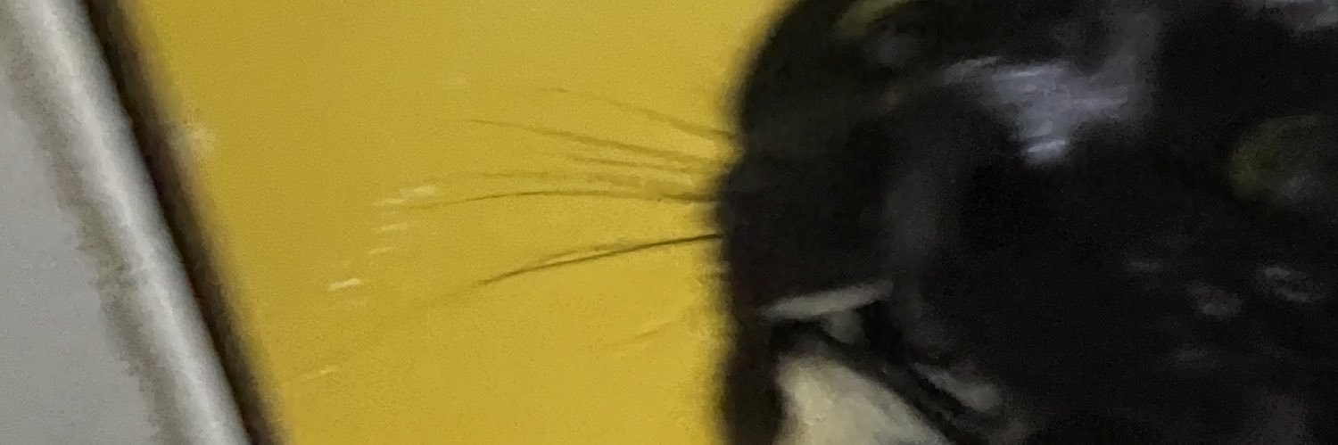 chongrayray's profile banner image