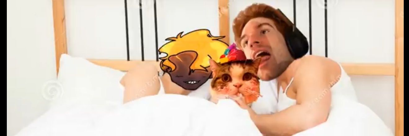 SelinaToara's profile banner image
