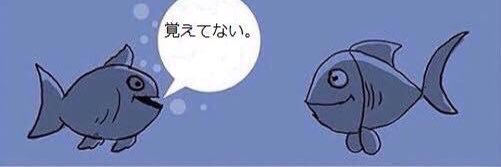 __YuN4__'s profile banner image