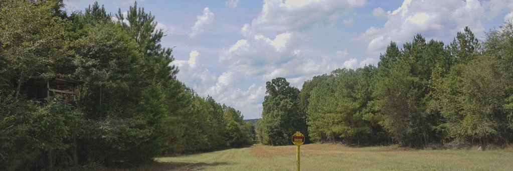 Dylan_Hankal5's profile banner image