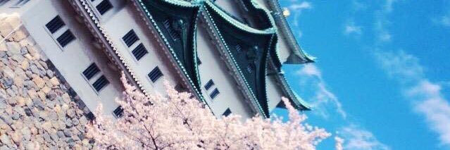 7168761's profile banner image
