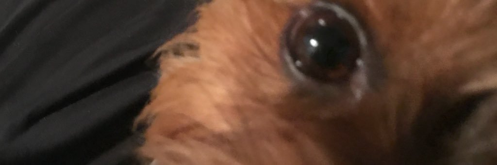 DwayneMus's profile banner image