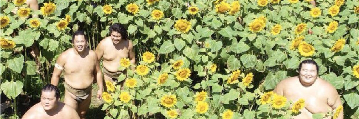 Vaagabonde's profile banner image