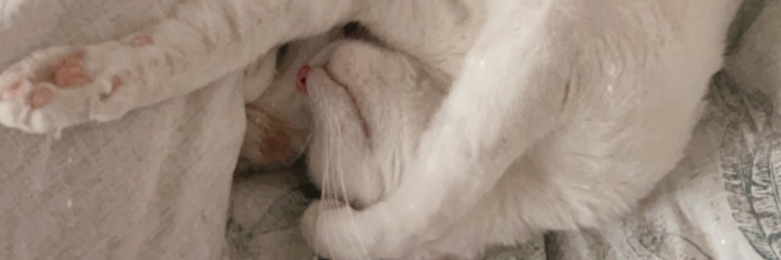 misskhinswe's profile banner image