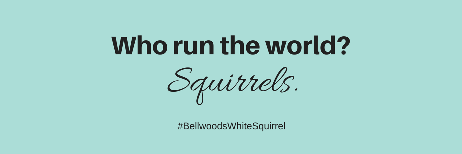WhiteSquirrelTO's profile banner image