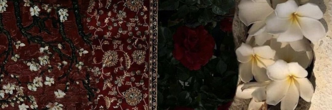 hynho1's profile banner image