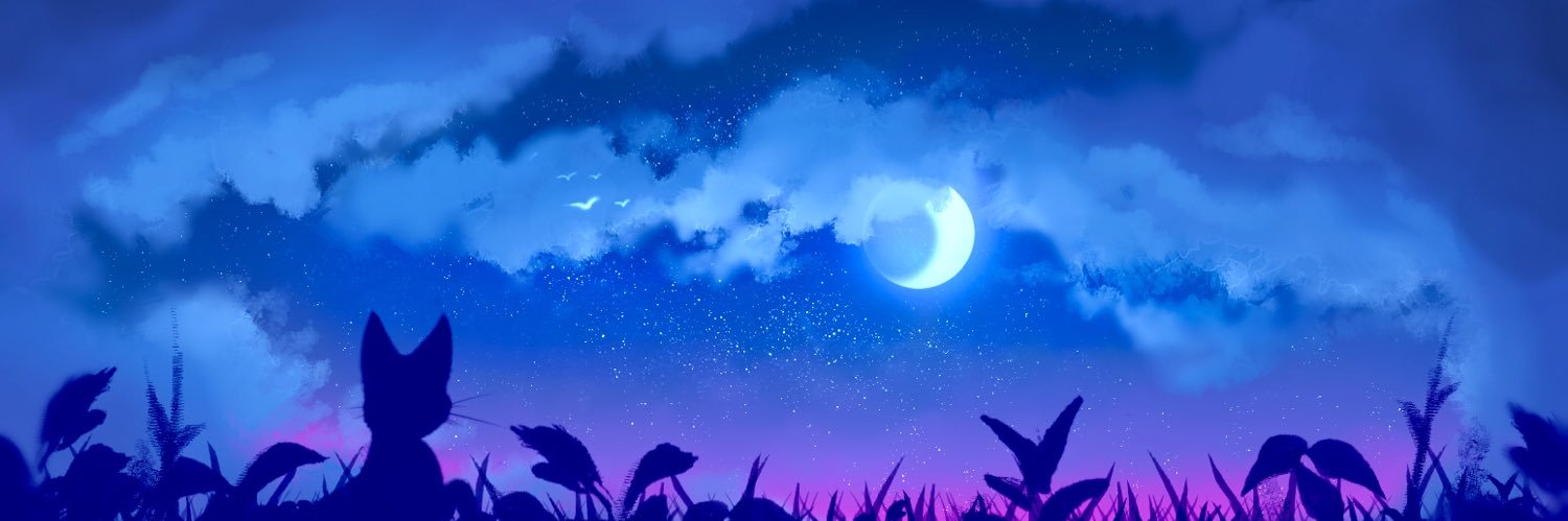 kyasiro's profile banner image