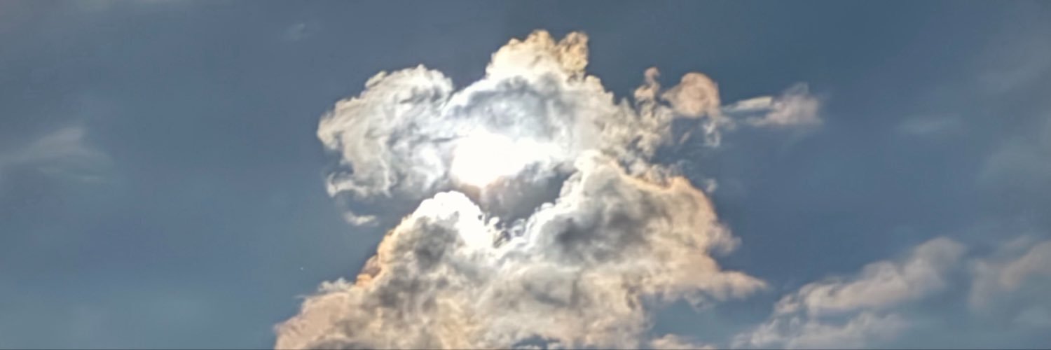 anniepanczel's profile banner image