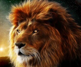 micky_skillz's profile banner image
